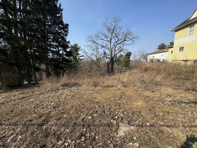 203 Morristown-Flushing Road, Flushing, OH 43977 Photo 4