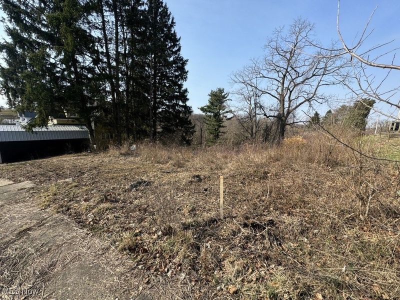 203 Morristown-Flushing Road, Flushing, OH 43977 Photo 5