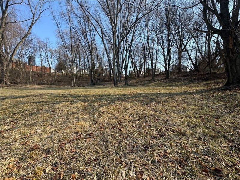 Pearl Street, Flushing, OH 43977 Photo 10