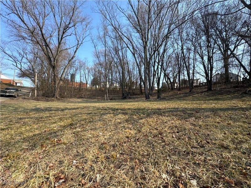 Pearl Street, Flushing, OH 43977 Photo 11