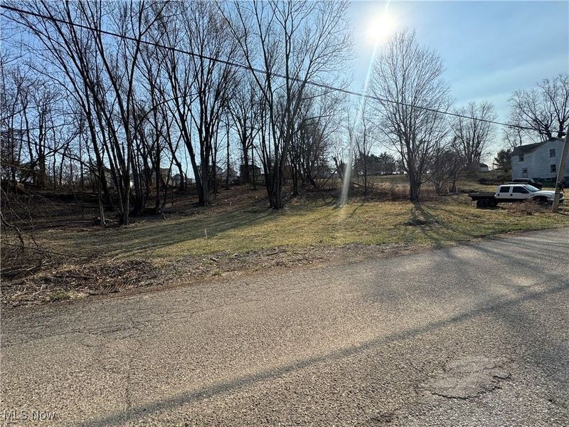 Pearl Street, Flushing, OH 43977 Photo 14