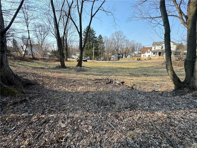 Pearl Street, Flushing, OH 43977 Photo 3