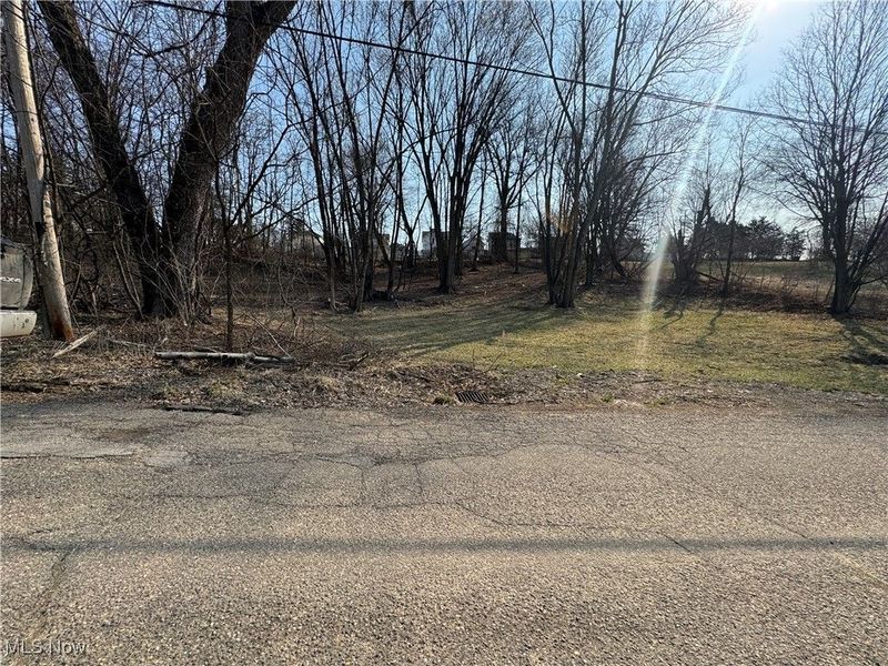 Pearl Street, Flushing, OH 43977 Photo 4