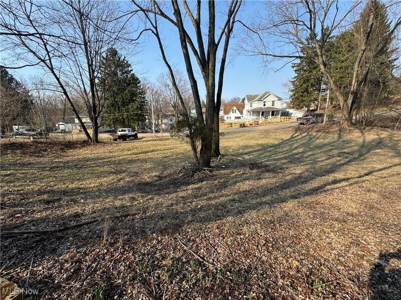 Pearl Street, Flushing, OH 43977 Photo 6