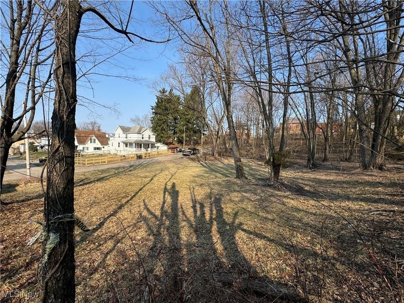 Pearl Street, Flushing, OH 43977 Photo 7