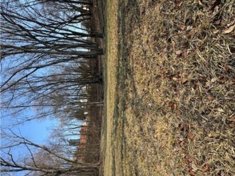 Pearl Street, Flushing, OH 43977 Photo 9