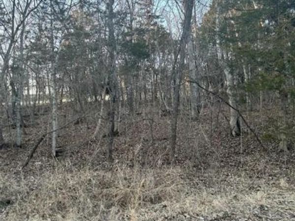 121 Briarwood Terrace, De Soto, MO 63020