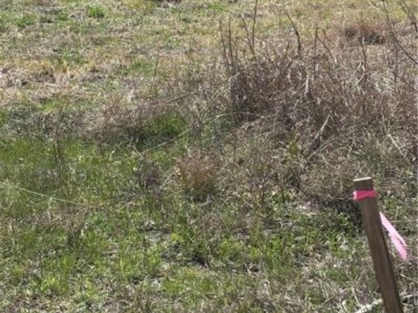 0 E Seideman, Seguin, TX 78155