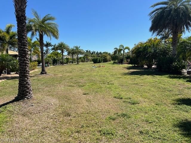 10228 Meadow Beauty Trl, Fort Myers, FL 33905 Photo