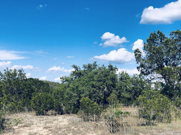1020 Cliff Circle, Spring Branch, TX 78070