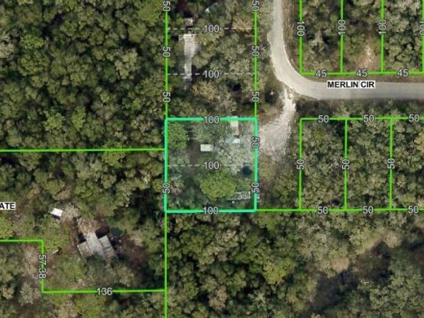 4809 MERLIN CIRCLE, RIDGE MANOR, FL 33523