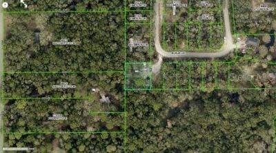 4809 Merlin Circle, Ridge Manor, FL 33523 Photo