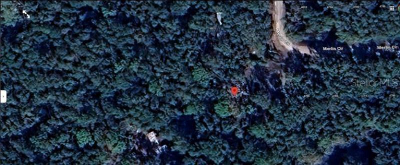 4809 Merlin Circle, Ridge Manor, FL 33523 Photo