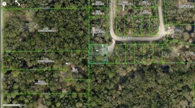 4809 Merlin Circle, Ridge Manor, FL 33523 Photo
