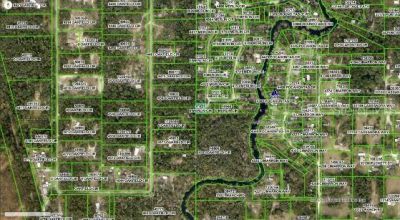 4809 Merlin Circle, Ridge Manor, FL 33523 Photo