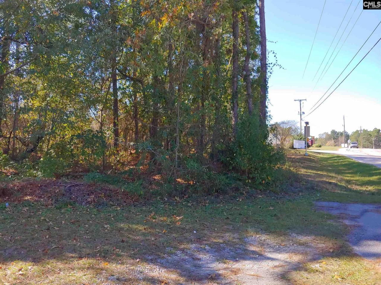 734 Pine Ridge Drive Photo 5