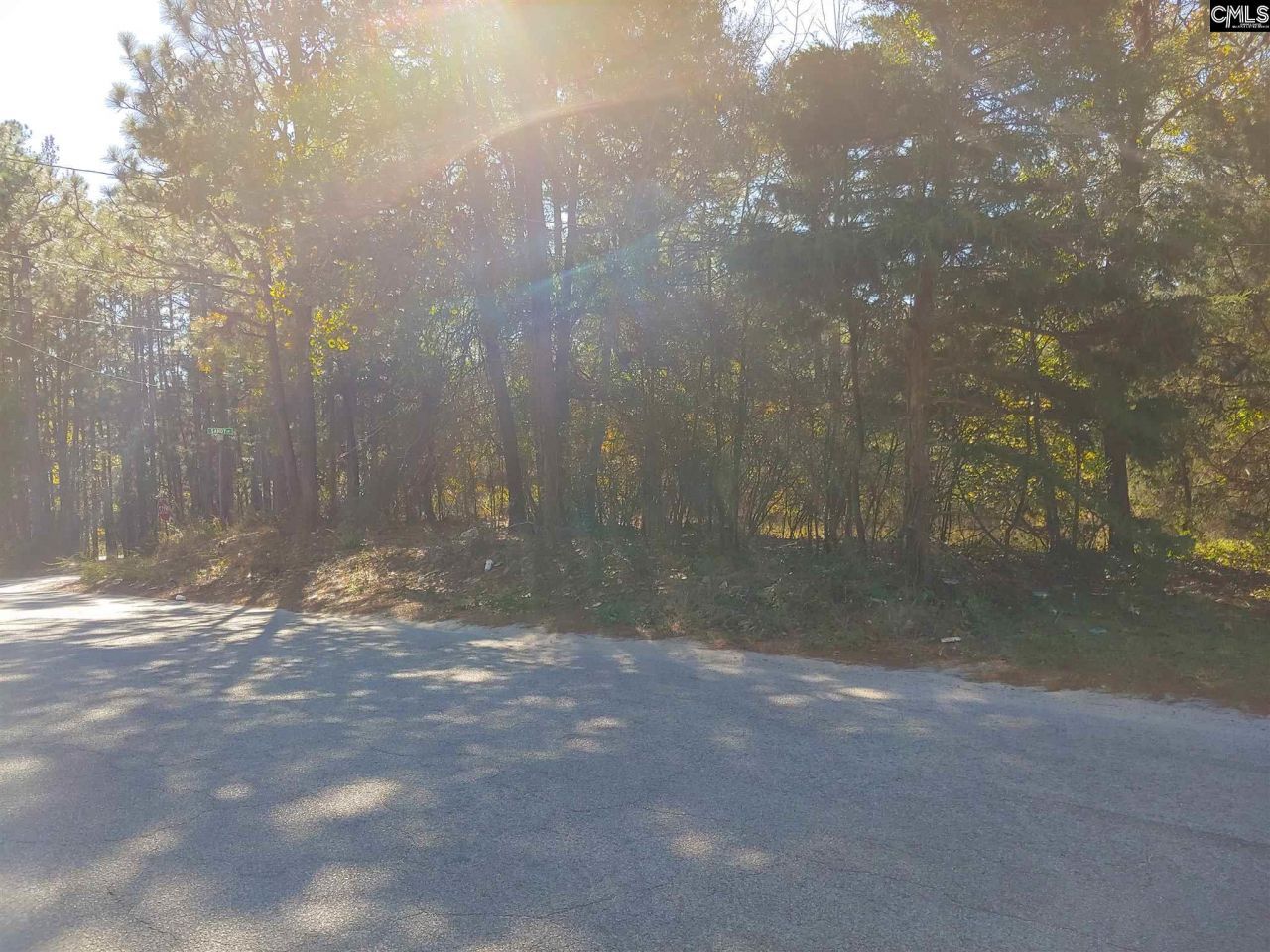 734 Pine Ridge Drive Photo 6