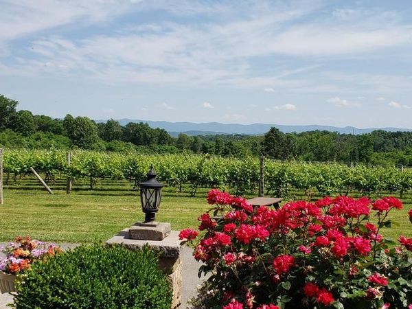4204 OLD FINCASTLE RD, FINCASTLE, VA 24090