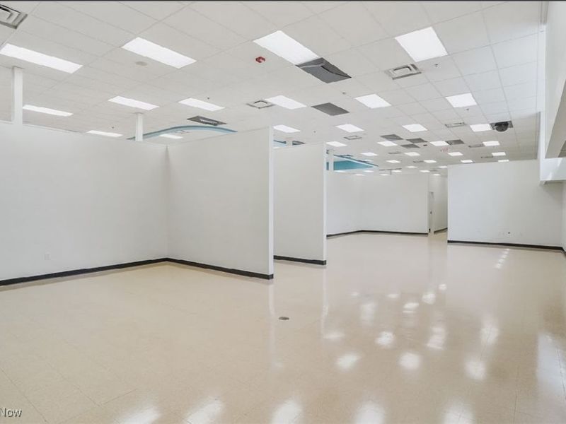 475 E 185th, Cleveland, OH 44119 Photo 15