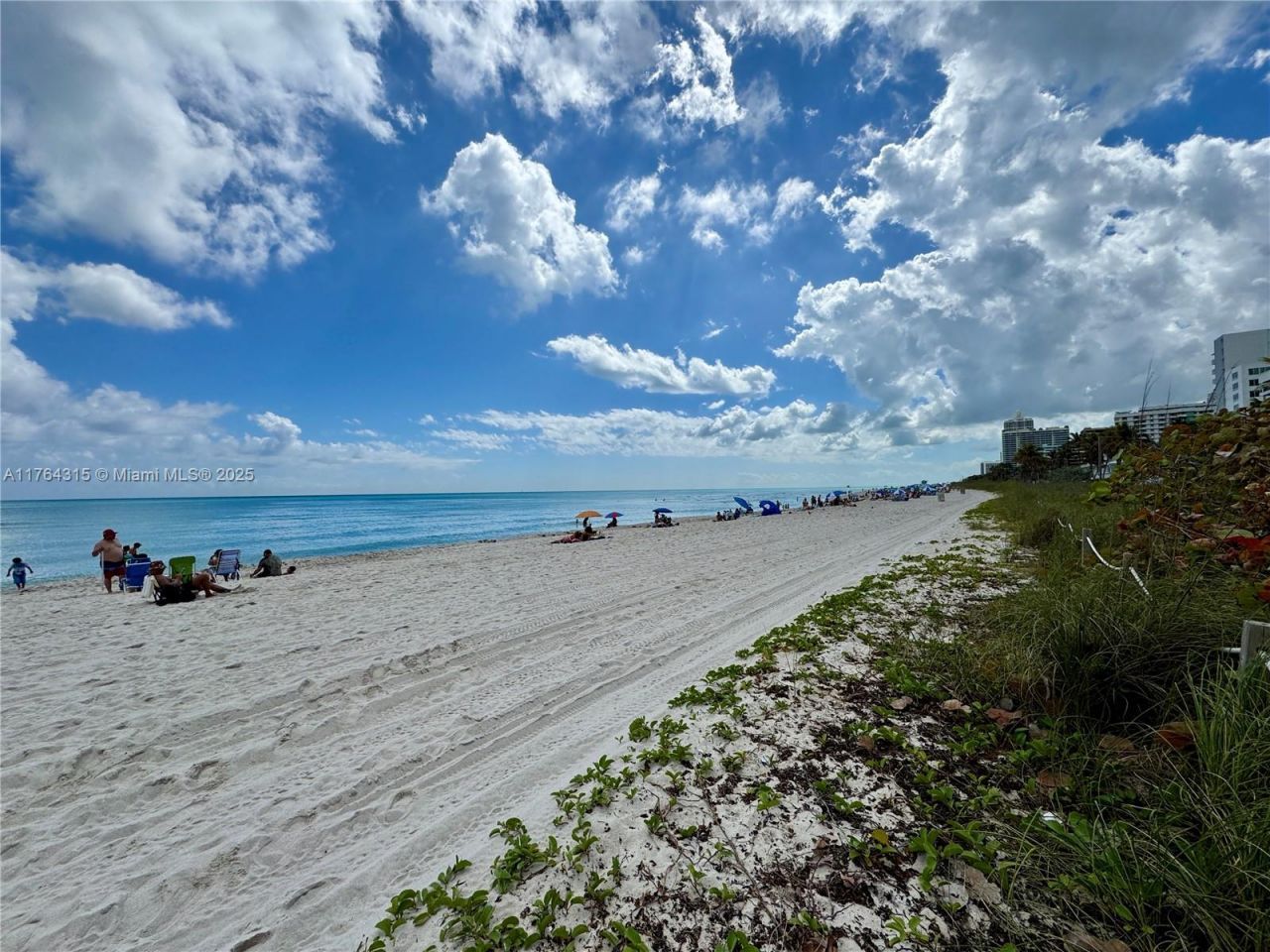 5445 Collins Ave, Unit TH-11, Miami Beach, FL 33140 Photo