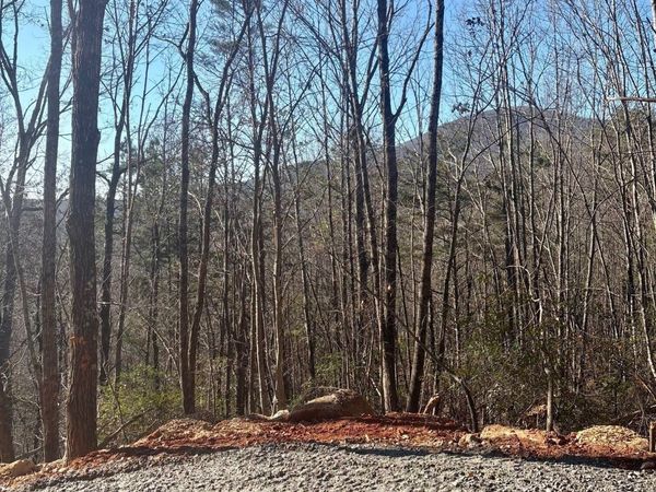 28 B Sal Mountain Way, Sautee Nacoochee, GA 30571