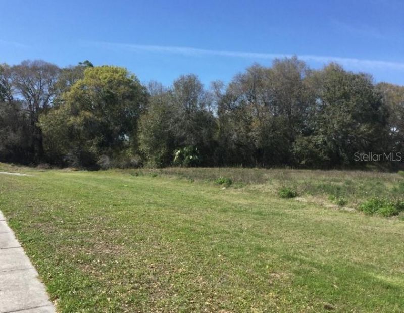 7721 Gunn Highway, Tampa, FL 33625 Photo