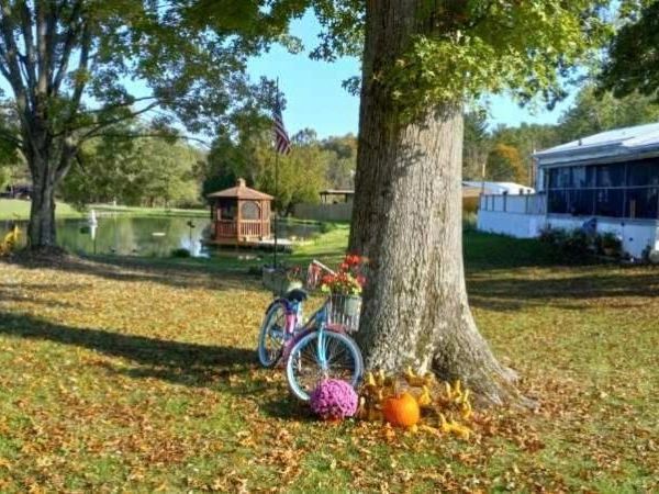 57894 Flamingo Road, Senecaville, OH 43780