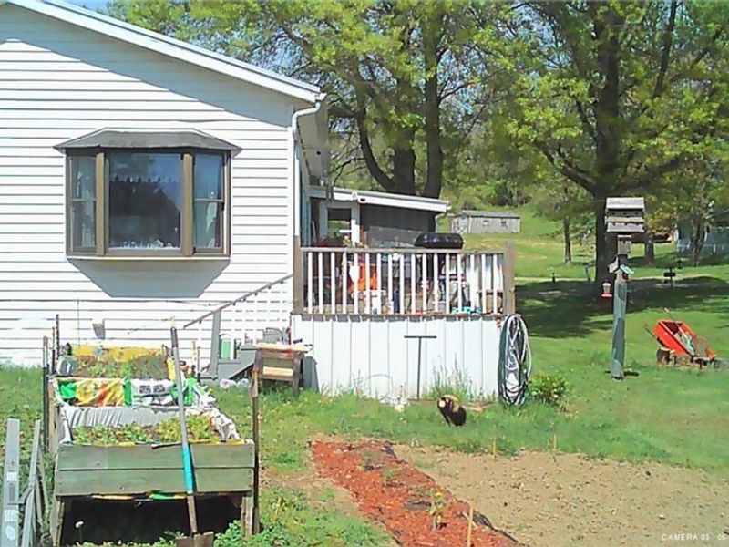 57894 Flamingo Road, Senecaville, OH 43780 Photo 5