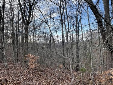 Lot 14 The Village at Laurelwood, Nancy, KY 42544
