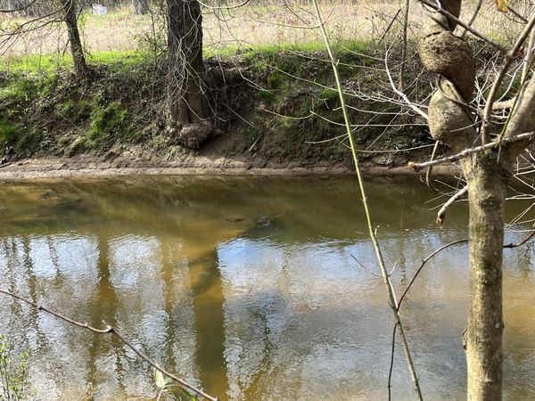 1480 Co Rd 814, Higdon, AL 35979