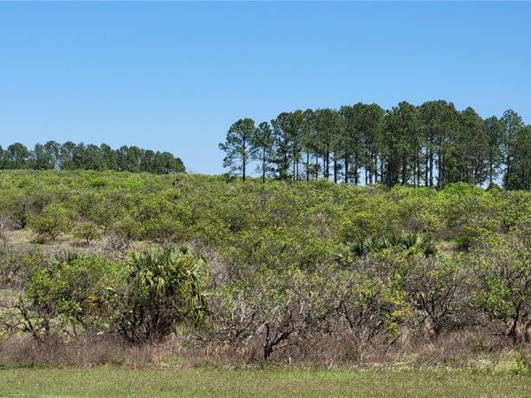 0 THRILL HILL ROAD, EUSTIS, FL 32736