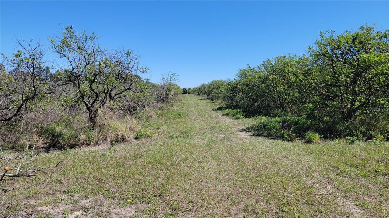 0 Thrill Hill Road, Eustis, FL 32736 Photo