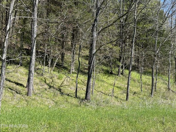 War Creek Rd, Thorn Hill, TN 37881