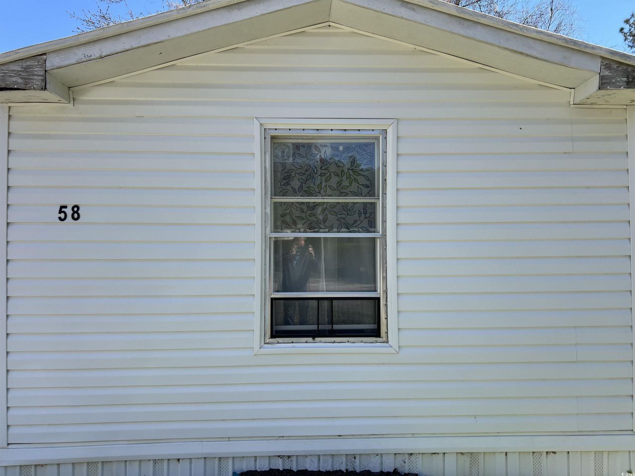 5730 Highway 707 Photo 17