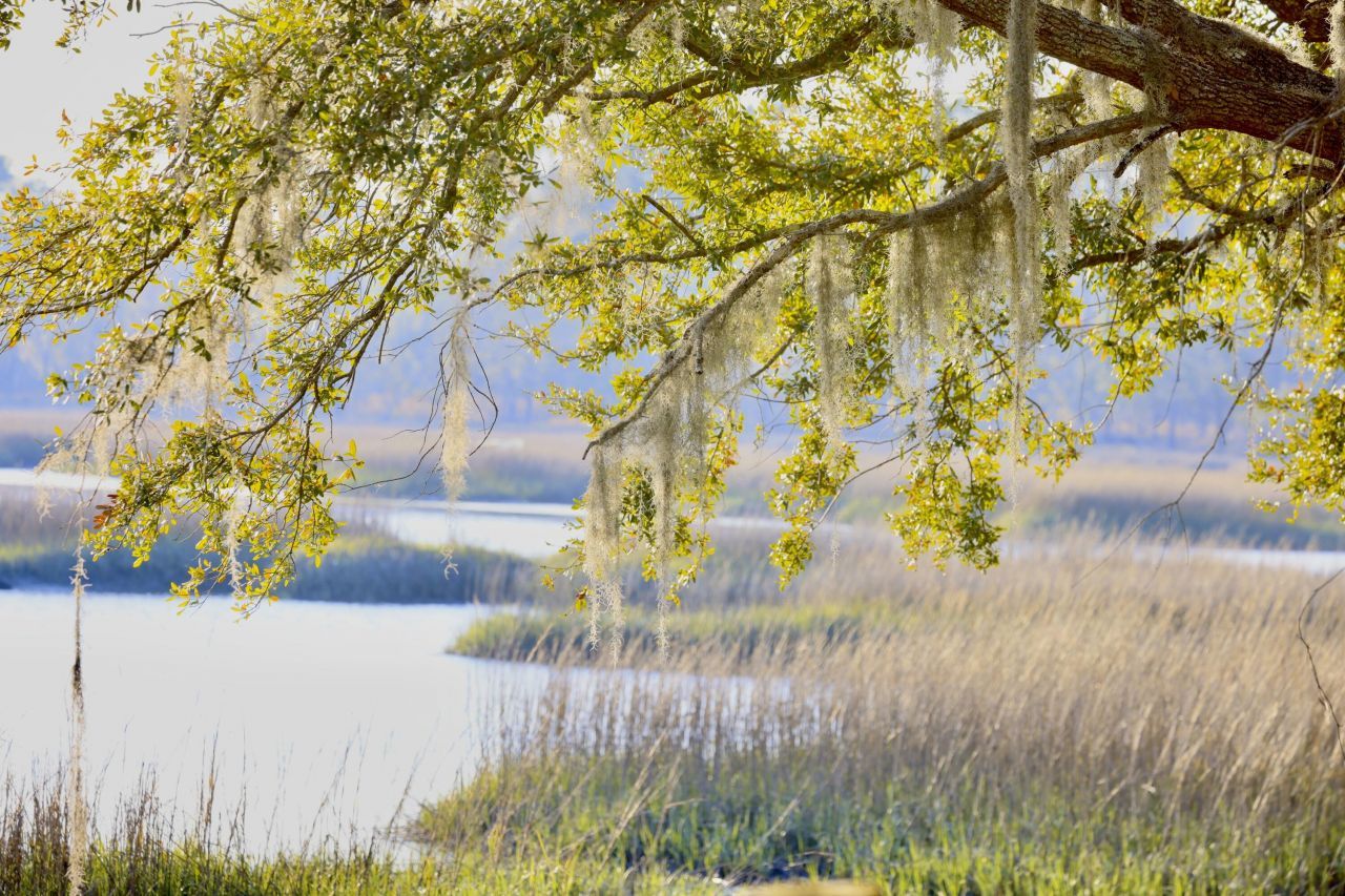 4559 Smoak Road Photo 12