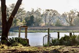 4559 Smoak Road photo 4