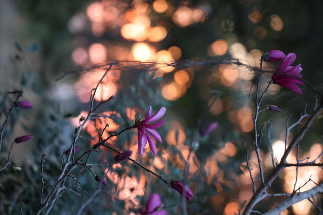 4559 Smoak Road Photo 20