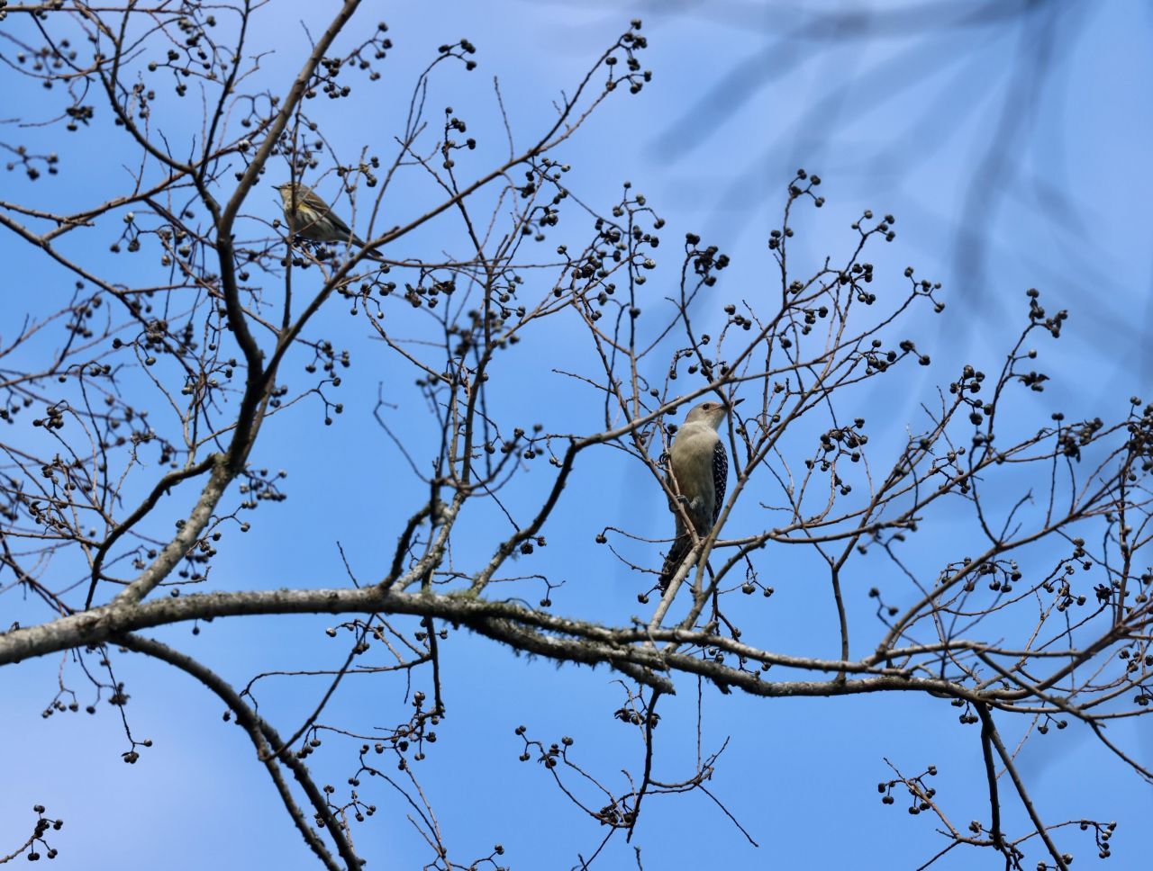 4559 Smoak Road Photo 28