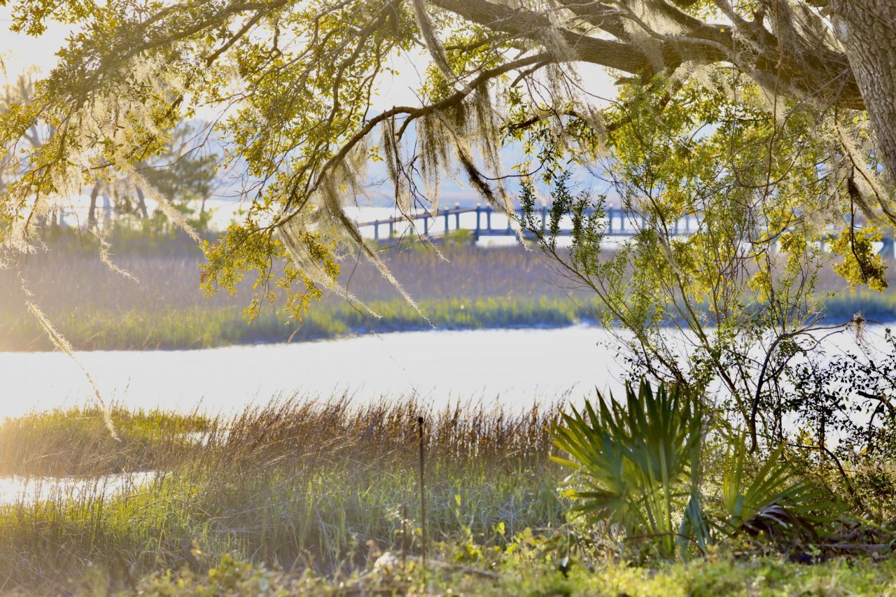 4559 Smoak Road Photo 32