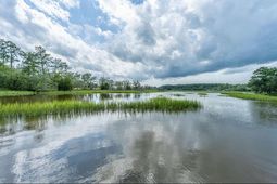 4559 Smoak Road photo 4