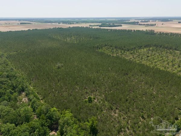 11 Bud Diamond Rd, Jay, FL 32565