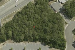 2010 Wambaw Creek Rd. photo 4