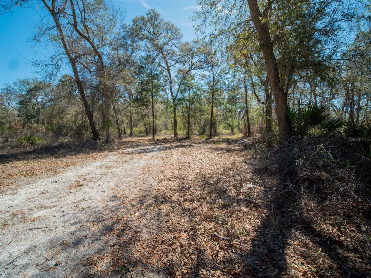 3949 184th Street, Wellborn, FL 32094 Photo