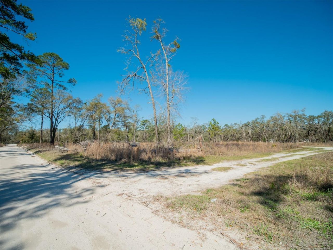 3949 184th Street, Wellborn, FL 32094 Photo