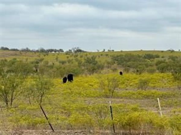 TBD Fm 2164, Sanger, TX 76266