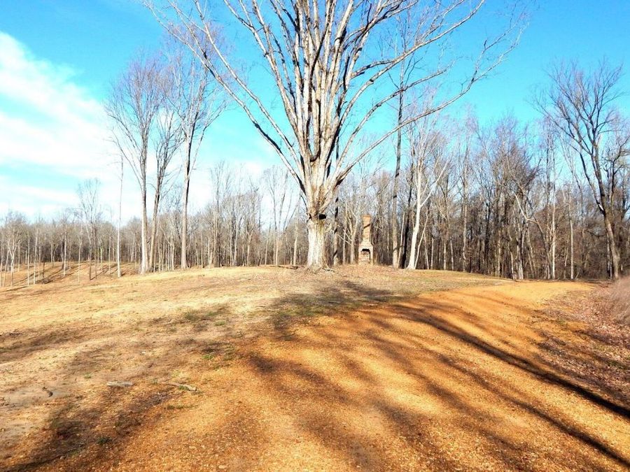 Property Image 19