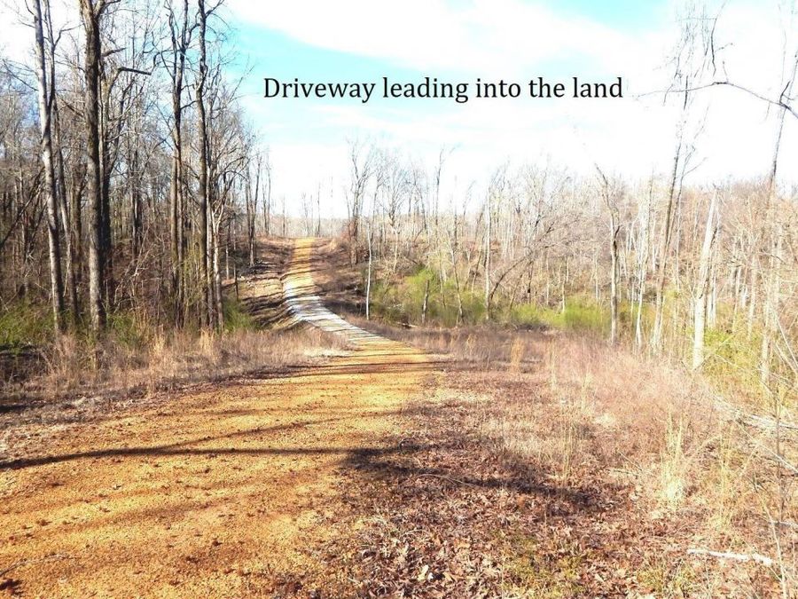 Property Image 7