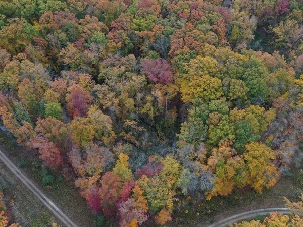 Meadowood Lane, Unit Lot 2, Lakeside, MI 49116