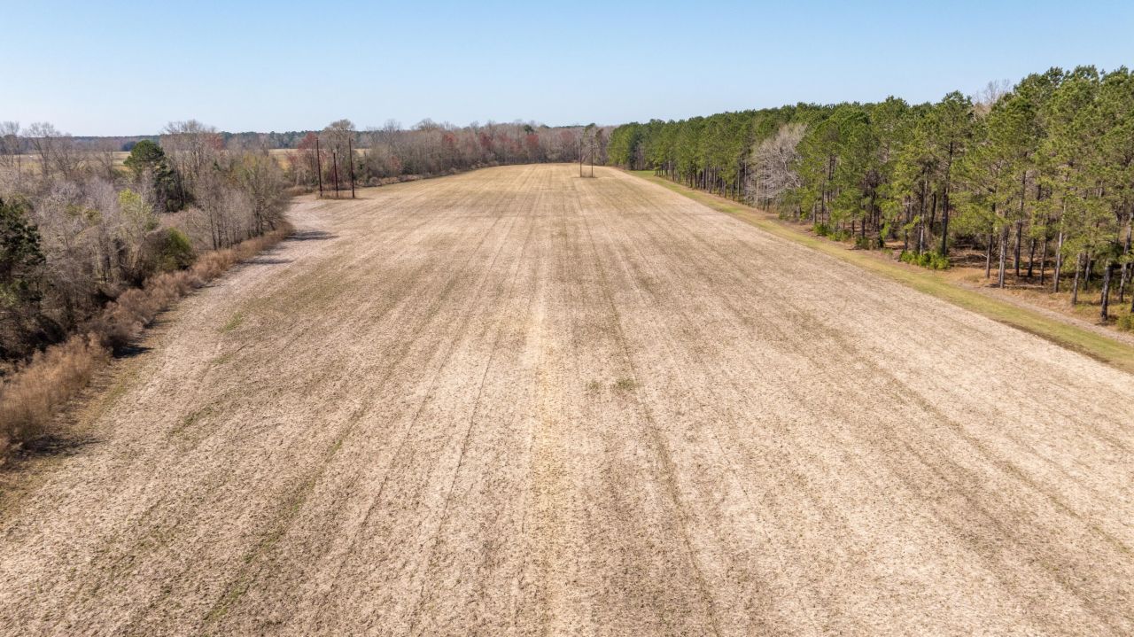 176 Po Chance Drive Photo 11