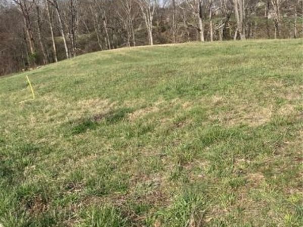 105 Long Meadow Estates, Scott Depot, WV 25560